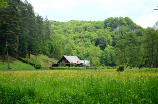 Gemeinde Mürlenbach - Eifel